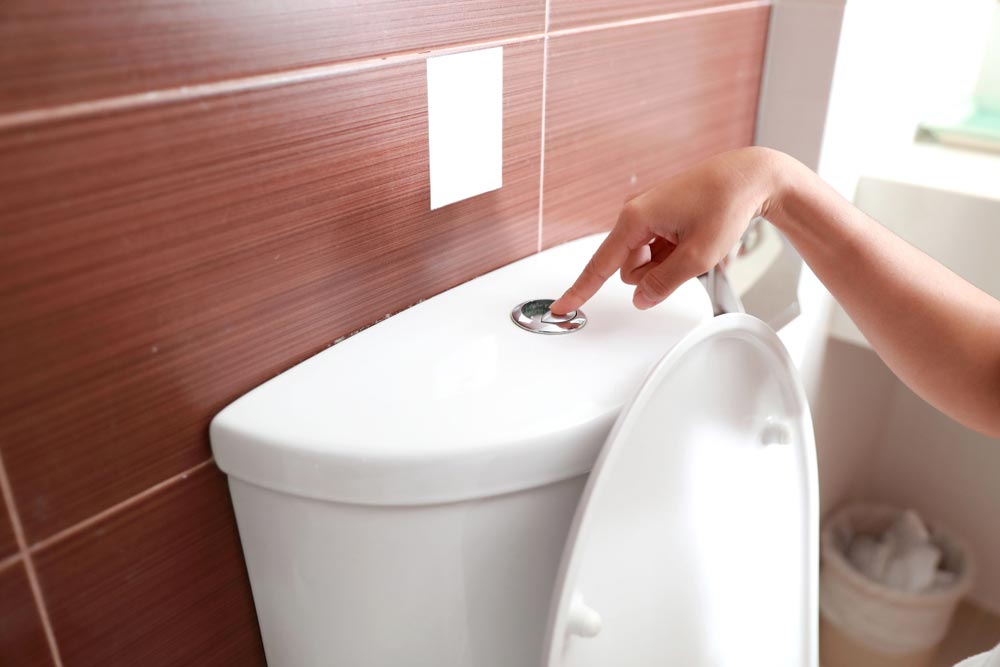 Woman Flushing Toilet